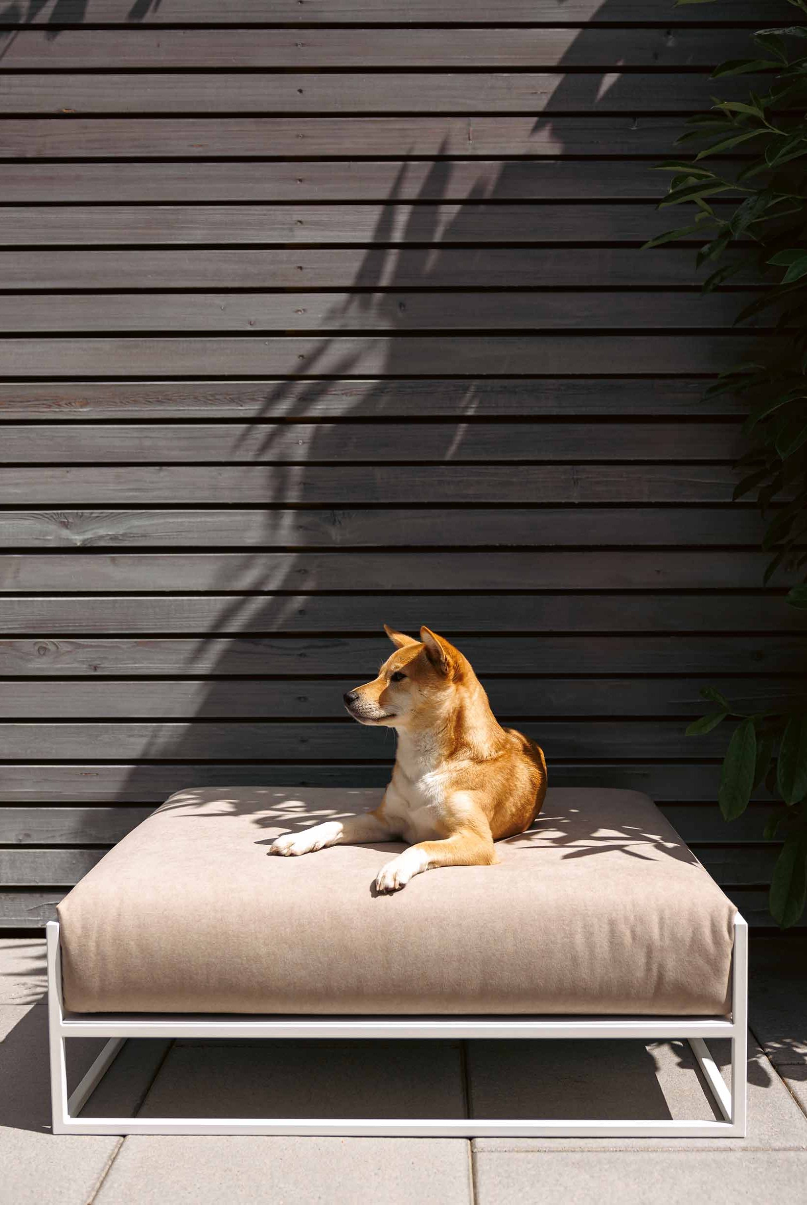 Weisses Hundebett aus Metall - moderner Look | Metallbude