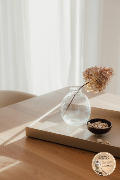 PLATEAU DE SERVICE DAVA